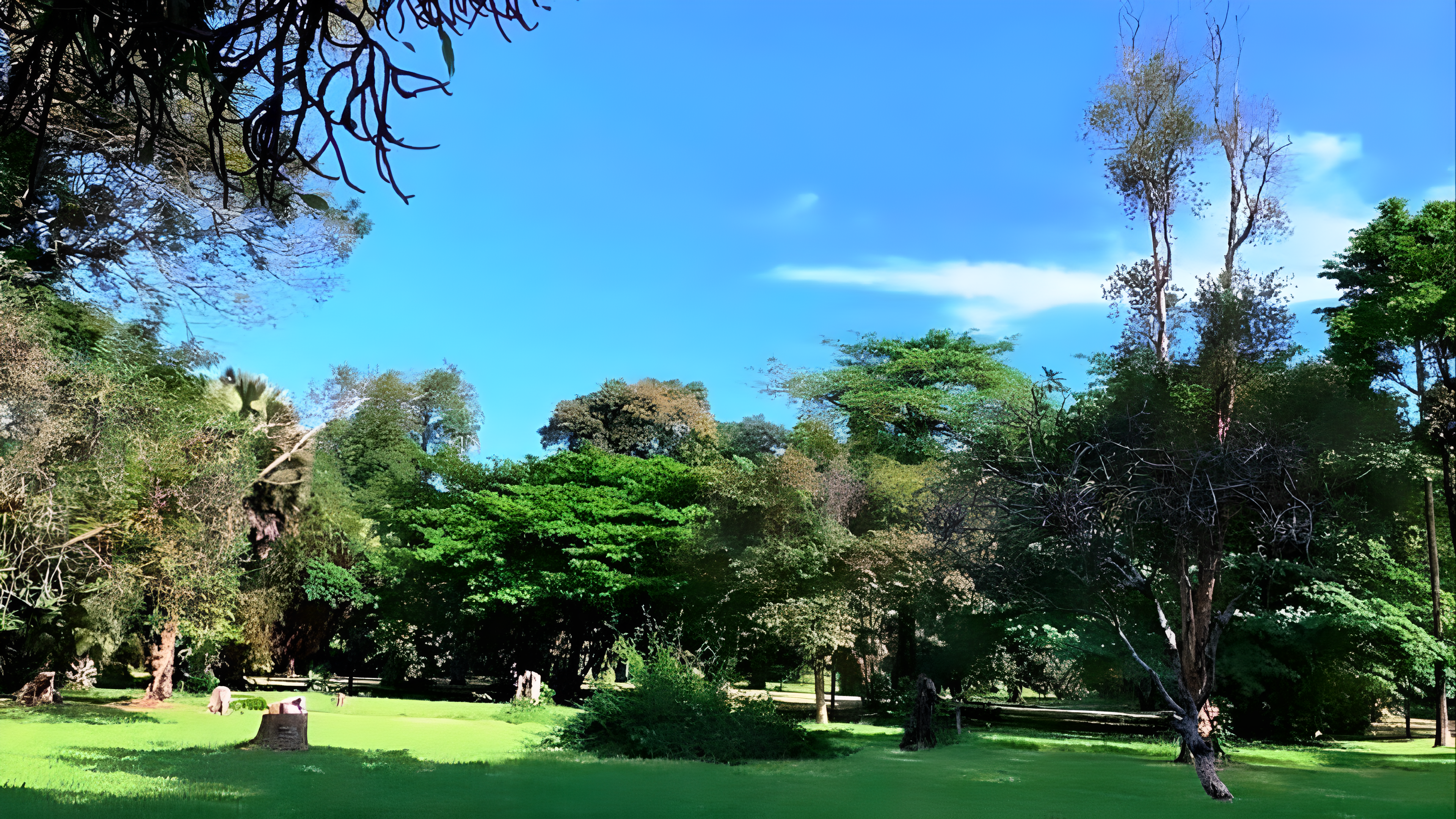 Les Jardins Botaniques de Limbe - Image 1